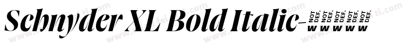 Schnyder XL Bold Italic字体转换